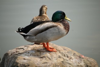 gdfgdfgg重量計費