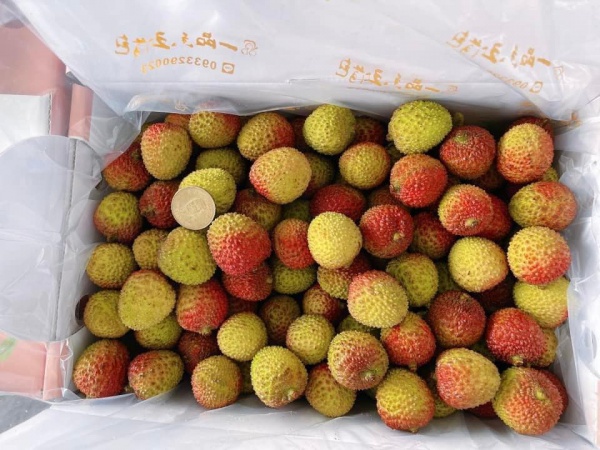 (預購)新鮮玉荷包荔枝