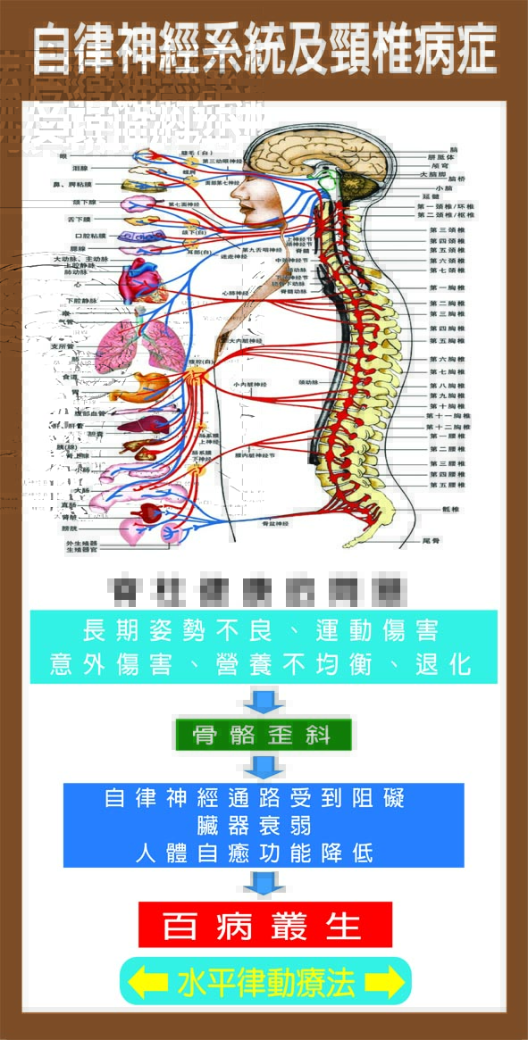 璧貼-咖啡色4 璧貼-咖啡色4